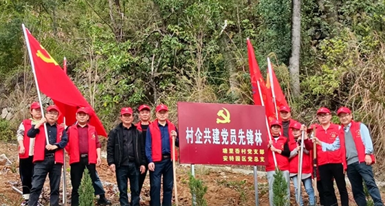村企共建，，，，，共植先锋林