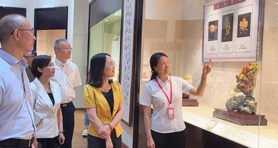 探索东方风范，，，，，，尊龙凯时·倪东方艺术博物馆与时代脉搏共振